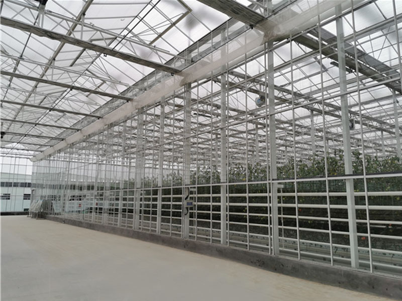 荷蘭現(xiàn)代化農(nóng)業(yè)種植溫室